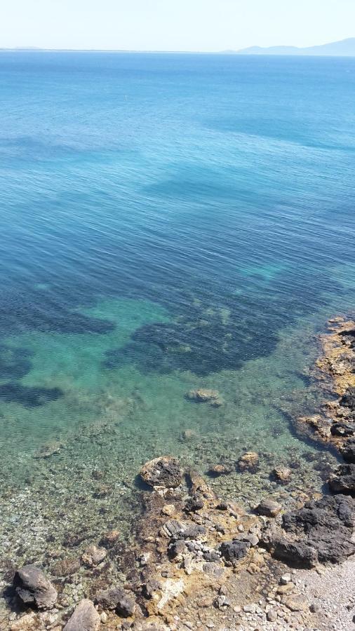 B&B Pierilu' Grosseto Bagian luar foto